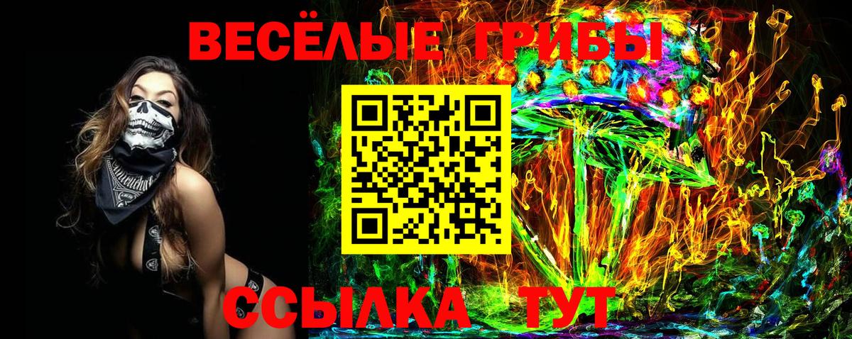 Галлюциногенные грибы Psilocybine cubensis Кингисепп