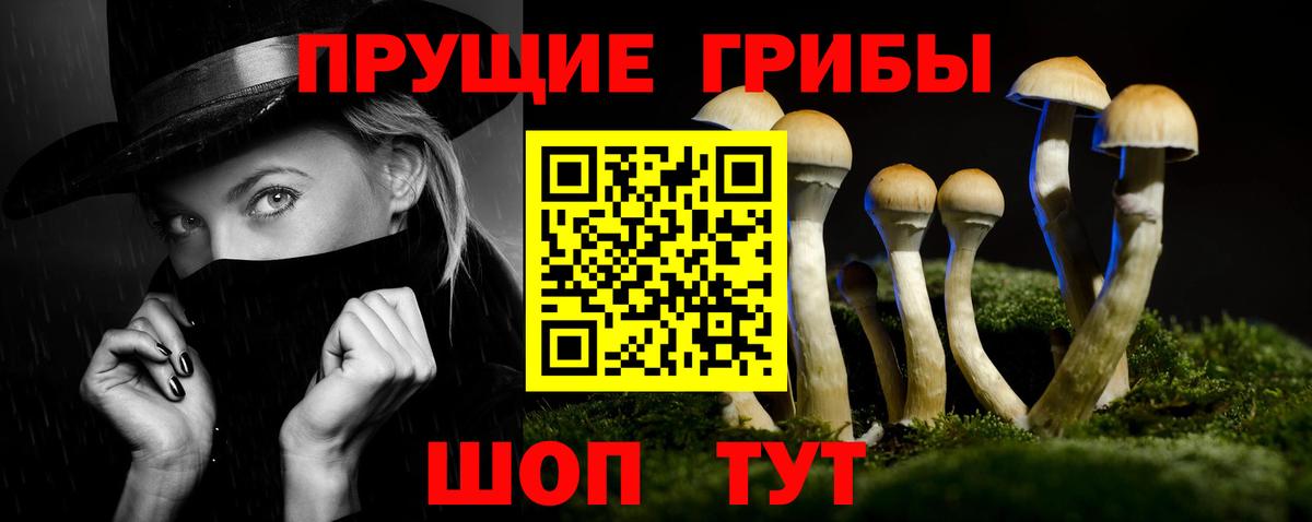 Кингисепп  Галлюциногенные грибы MAGIC MUSHROOMS  Вход с VPN 