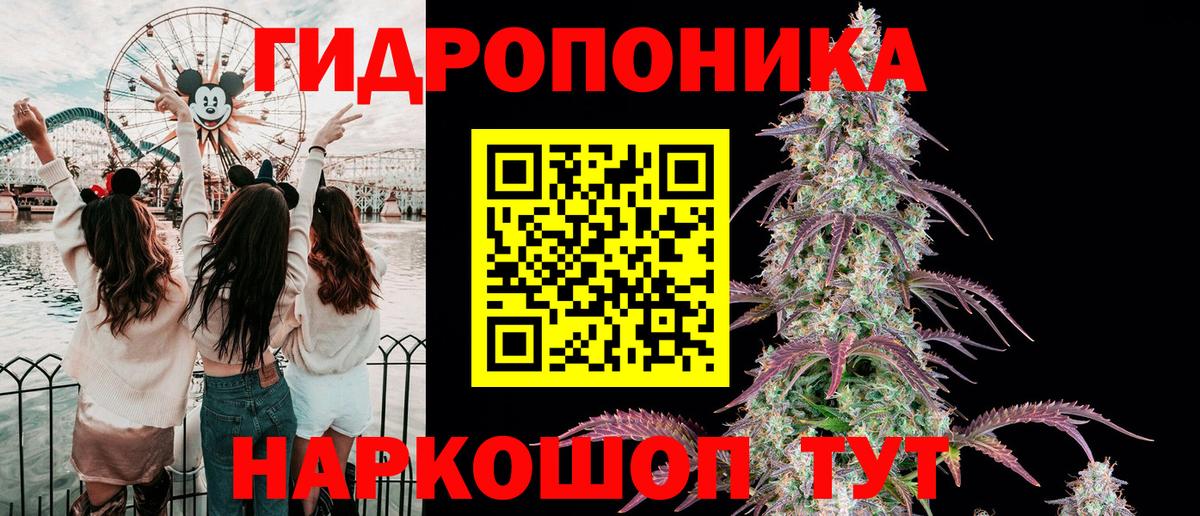 Шишки марихуана марихуана Кингисепп